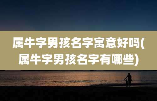 属牛字男孩名字寓意好吗(属牛字男孩名字有哪些)
