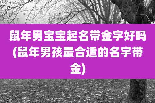鼠年男宝宝起名带金字好吗(鼠年男孩最合适的名字带金)