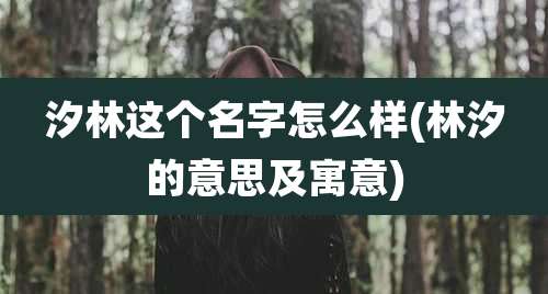汐林这个名字怎么样(林汐的意思及寓意)
