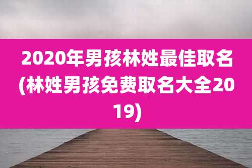 2020年男孩林姓最佳取名(林姓男孩免费取名大全2019)