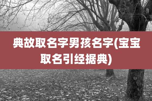 典故取名字男孩名字(宝宝取名引经据典)