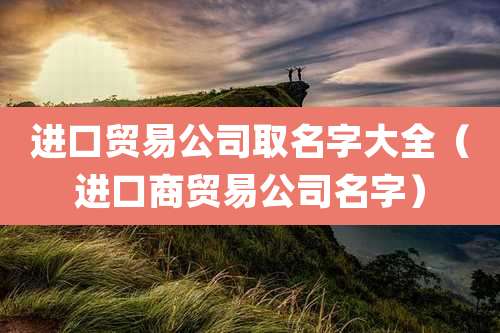 进口贸易公司取名字大全(进口商贸易公司名字)