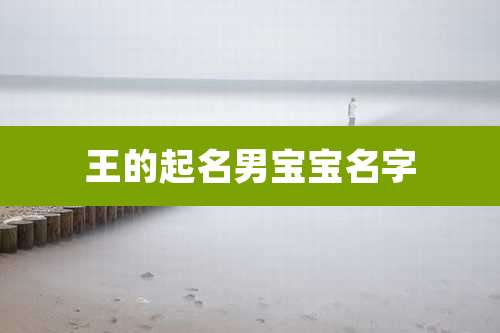 王的起名男宝宝名字