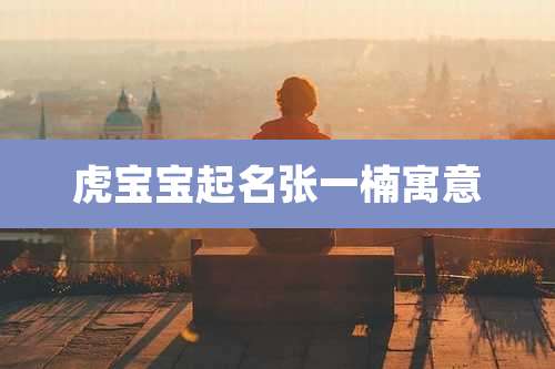 虎宝宝起名张一楠寓意