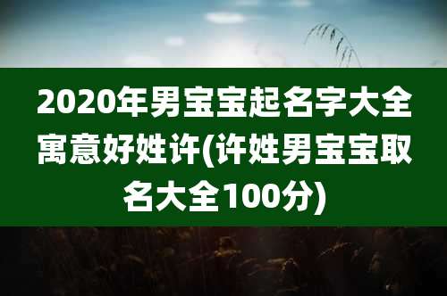 2020年男宝宝起名字大全寓意好姓许(许姓男宝宝取名大全100分)