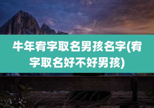 牛年宥字取名男孩名字(宥字取名好不好男孩)