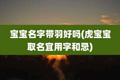 宝宝名字带羽好吗(虎宝宝取名宜用字和忌)