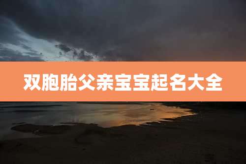 双胞胎父亲宝宝起名大全