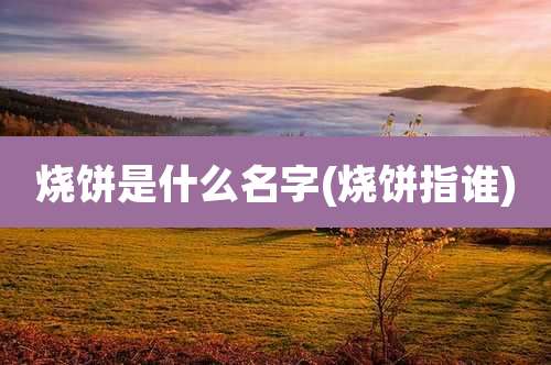 烧饼是什么名字(烧饼指谁)