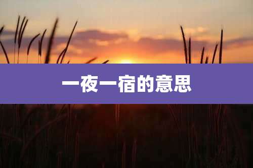 一夜一宿的意思