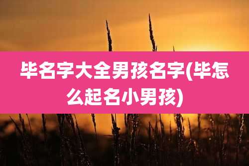 毕名字大全男孩名字(毕怎么起名小男孩)