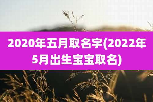 2020年五月取名字(2022年5月出生宝宝取名)