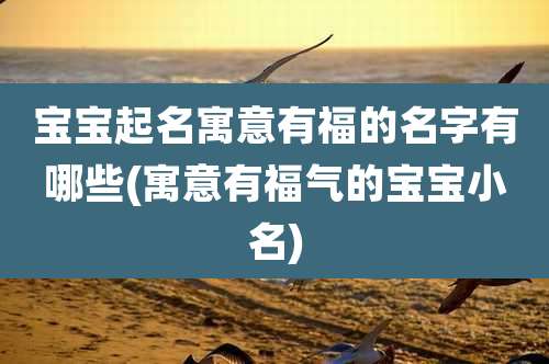 宝宝起名寓意有福的名字有哪些(寓意有福气的宝宝小名)