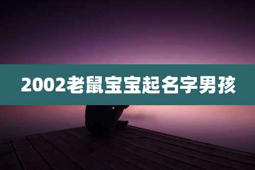 2002老鼠宝宝起名字男孩