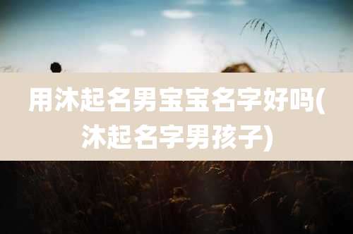用沐起名男宝宝名字好吗(沐起名字男孩子)