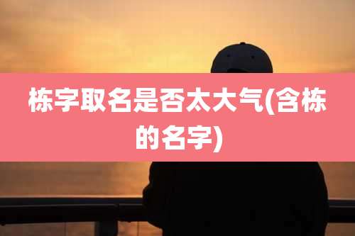 栋字取名是否太大气(含栋的名字)