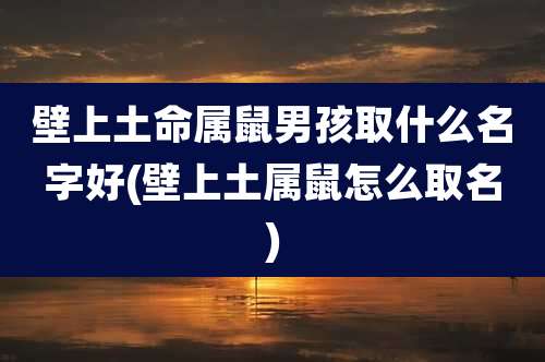 壁上土命属鼠男孩取什么名字好(壁上土属鼠怎么取名)