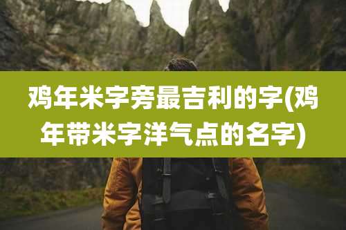 鸡年米字旁最吉利的字(鸡年带米字洋气点的名字)