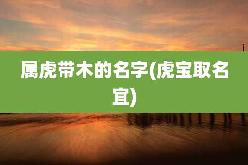 属虎带木的名字(虎宝取名宜)