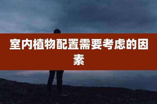 室内植物配置需要考虑的因素