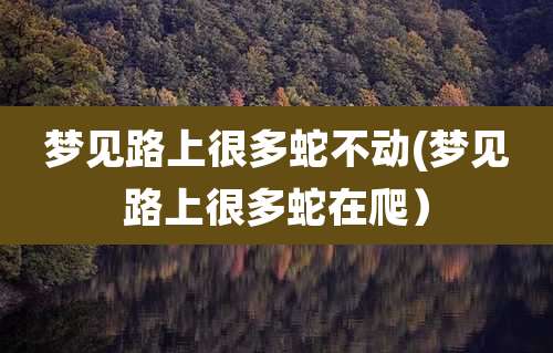 梦见路上很多蛇不动(梦见路上很多蛇在爬)