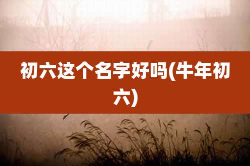 初六这个名字好吗(牛年初六)