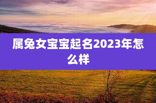 属兔女宝宝起名2023年怎么样