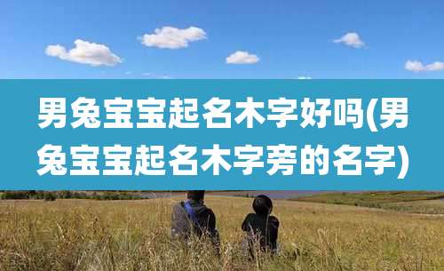 男兔宝宝起名木字好吗(男兔宝宝起名木字旁的名字)