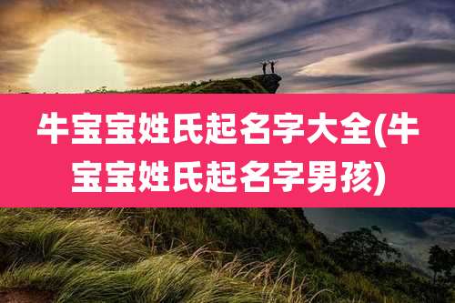 牛宝宝姓氏起名字大全(牛宝宝姓氏起名字男孩)