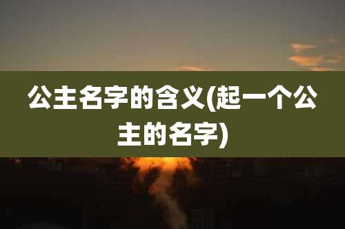 公主名字的含义(起一个公主的名字)