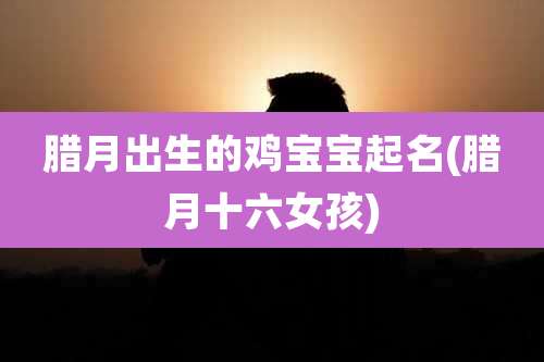 腊月出生的鸡宝宝起名(腊月十六女孩)