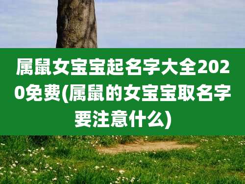属鼠女宝宝起名字大全2020免费(属鼠的女宝宝取名字要注意什么)