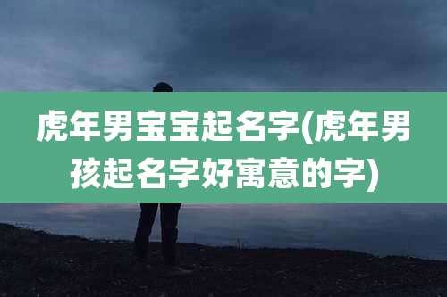 虎年男宝宝起名字(虎年男孩起名字好寓意的字)