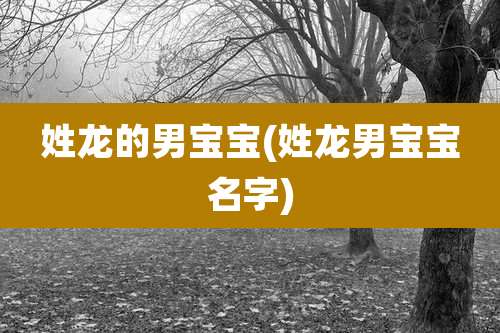 姓龙的男宝宝(姓龙男宝宝名字)