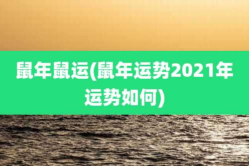 鼠年鼠运(鼠年运势2021年运势如何)