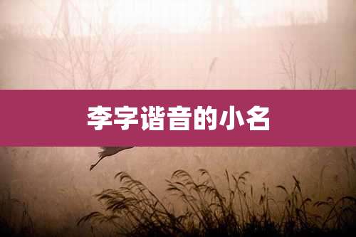 李字谐音的小名