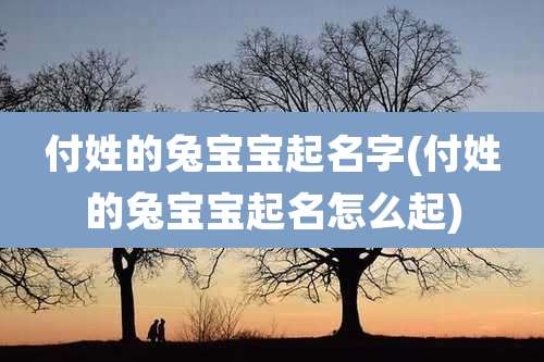 付姓的兔宝宝起名字(付姓的兔宝宝起名怎么起)
