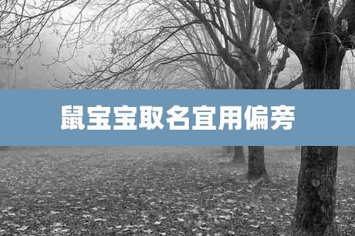 鼠宝宝取名宜用偏旁