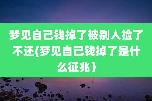 梦见自己钱掉了被别人捡了不还(梦见自己钱掉了是什么征兆)