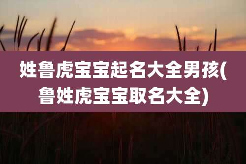 姓鲁虎宝宝起名大全男孩(鲁姓虎宝宝取名大全)