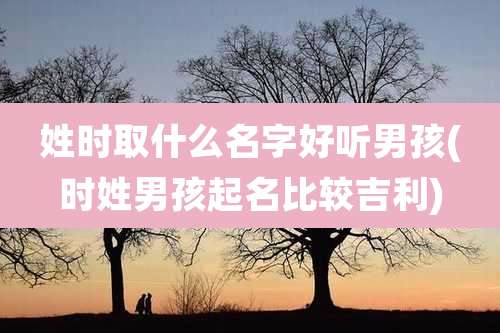 姓时取什么名字好听男孩(时姓男孩起名比较吉利)