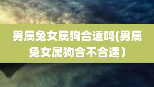 男属兔女属狗合适吗(男属兔女属狗合不合适)