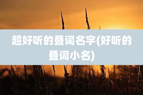 超好听的叠词名字(好听的叠词小名)