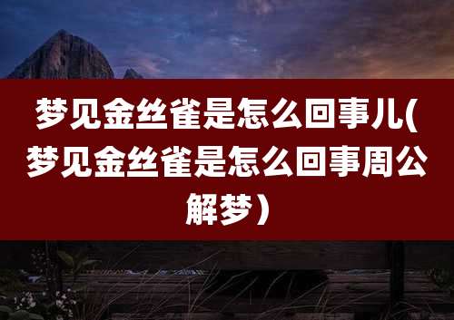 梦见金丝雀是怎么回事儿(梦见金丝雀是怎么回事周公解梦）