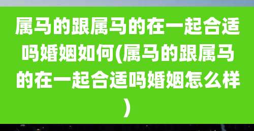 属马的跟属马的在一起合适吗婚姻如何(属马的跟属马的在一起合适吗婚姻怎么样)