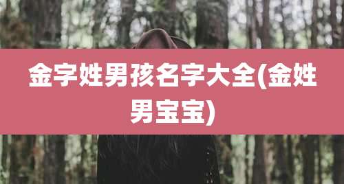 金字姓男孩名字大全(金姓男宝宝)