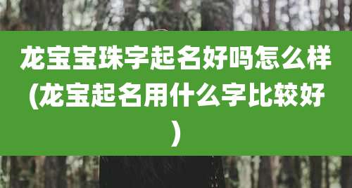 龙宝宝珠字起名好吗怎么样(龙宝起名用什么字比较好)