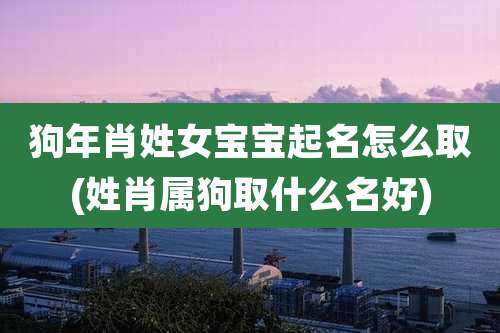 狗年肖姓女宝宝起名怎么取(姓肖属狗取什么名好)