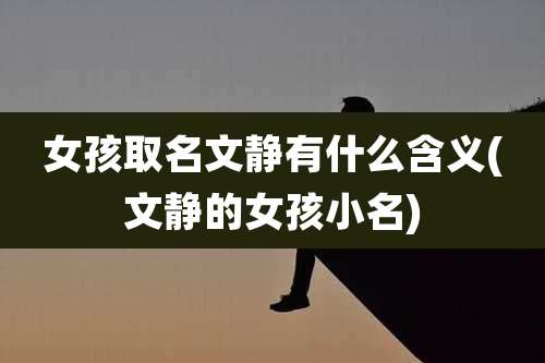 女孩取名文静有什么含义(文静的女孩小名)