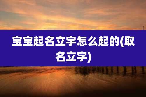 宝宝起名立字怎么起的(取名立字)